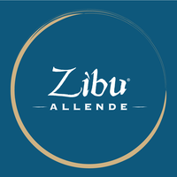 Zibu Allende